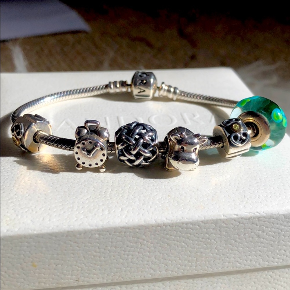 Pandora Bracelet Set